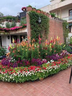 an outdoor garden with flowers and plants growing on the side of it's building