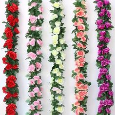 multicolored roses arranged in rows against a white background