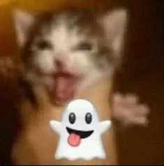 a white cat sticking its tongue out with a ghost sticker on it's chest