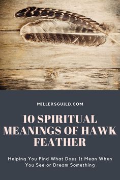 the words 10 spirital meanings of hawk feather