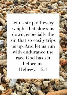 the words let us strip off every weight that slows us down, especially the sin that so easily runs up and lets run with abundance the race god has set before us