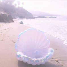 an inflatable shell is on the beach