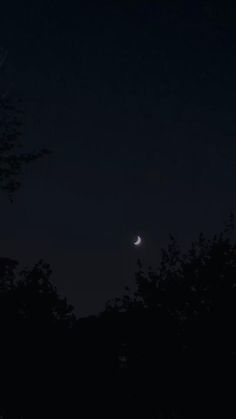 the moon is seen through the trees at night