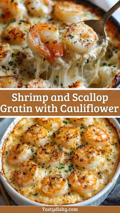 Creamy Shrimp and Scallop Gratin with Cauliflower – A Delicious Seafood Bake! Prawn And Scallop Recipe, Shrimp Cauliflower Recipes, Sunday Seafood Dinner Ideas, Shrimp And Scallops Recipes, Recipe With Scallops, Seafood Entrees Dinners, Seafood Gratin Recipe, Shrimp And Scallop Casserole Recipes, Seafood Bake Casserole