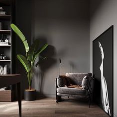 a living room with a couch and a potted plant next to the bookshelf