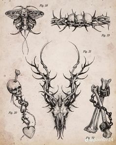 an old fashioned drawing of deer skulls and antlers