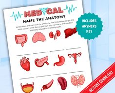 medical name the anatomy worksheet for kids and adults to learn how to use it