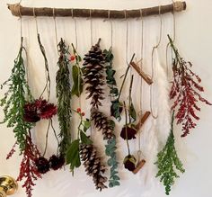 a bunch of plants hanging on a wall next to a door knob and some bells