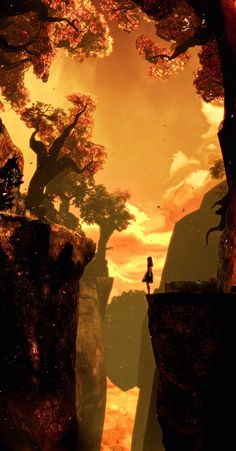 a person standing on top of a cliff in the middle of a forest at sunset