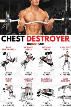 the chest workout chart shows how to use dumbbells and pull ups for back muscles