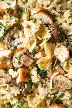 pasta with mushrooms and parsley in a white sauce