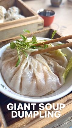 a plate with dumplings and chopsticks in it