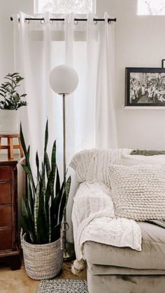 a living room filled with furniture and plants