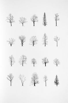 nine trees are shown in black and white, each with their own individual image on it