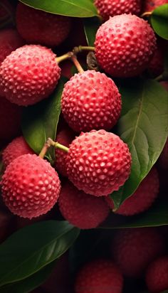 berries with green leaves and water drops on them are ready to be picked from the tree