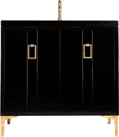 a black cabinet with gold handles and two doors on the front, against a white background