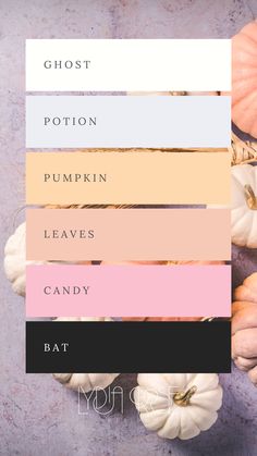 A mood board design featuring a girly Halloween color palette with deep black, soft baby pink, pastel red, light orange, delicate lilac, and off-white swatches. The colors are arranged in an aesthetically pleasing layout, combining the eerie essence of Halloween with a feminine, whimsical touch, perfect for inspiring sweet yet spooky art and design projects. Pastel Fall Colors, Color Palettes With Pink, Halloween Colour Palette, Colouring Palette, Color Palette With Black, Whimsical Color Palette, Fall Color Palettes, Halloween Color Palette, Girly Halloween