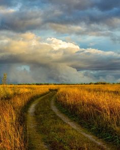 a dirt road in the middle of a field with tall grass and clouds above it