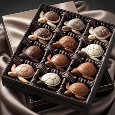 there are many chocolates in the box with turtles on them and one turtle is laying next to each other