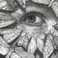 a drawing of a person's eye surrounded by moths