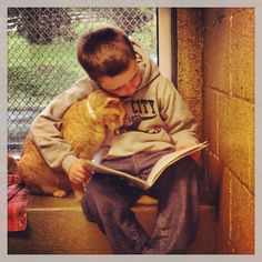 a young boy reading a book with a cat sitting on his lap next to him