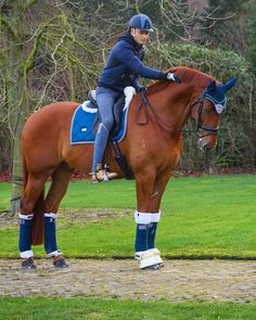 a woman riding on the back of a brown horse