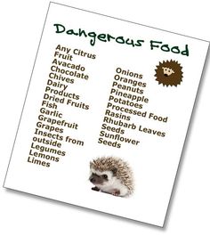 a poster with an animal list on it's back side and the words dangerous food