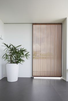 a potted plant sitting next to a sliding glass door in a white walled room