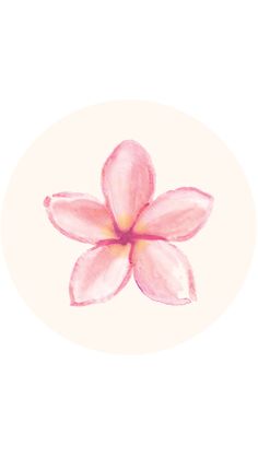 a drawing of a pink flower on a white background