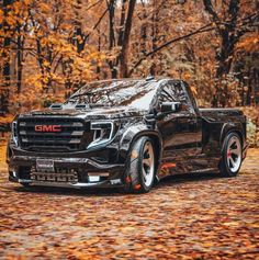 a black truck parked on top of a leaf covered road