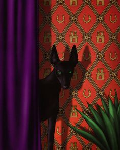 a black cat standing next to a purple curtain