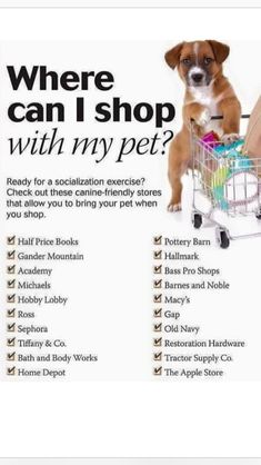 a dog sitting in a shopping cart with the words where can i shop with my pet?