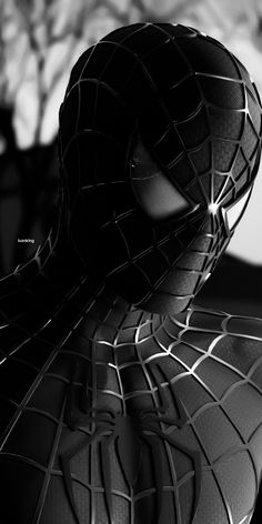 a black and white photo of a spider man