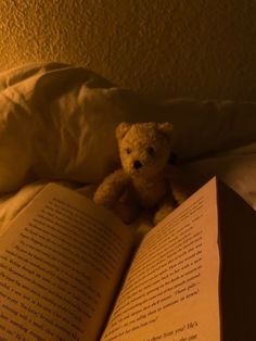 an open book with a teddy bear sitting on top of it next to a pillow