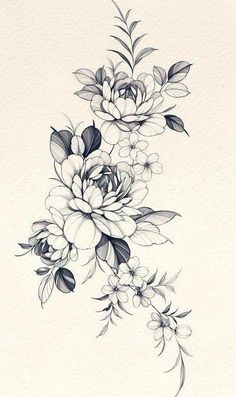 a black and white drawing of flowers with leaves on the bottom half of each flower