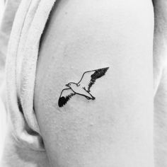 a black and white photo of a seagull tattoo on the right arm,