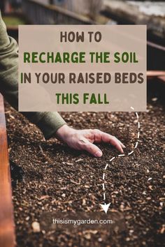 A person's hand is touching the top of the soil that is in a raised bed. From thisismygarden.com. Garden Remedies, Vegetable Garden Diy, Diy Raised Garden, Backyard Vegetable Gardens, Raised Garden Beds Diy, Garden Compost, Magic Garden, Garden Help