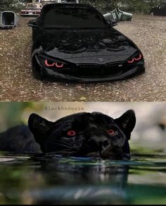 two pictures with the same car in different colors, one is black and the other has red eyes