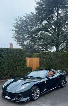 a black sports car parked in front of a hedge