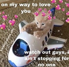 a cat sitting on top of a toy plane with hearts flying around it and the caption says, on my way to love you watch out guys, i'm