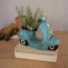 a blue scooter with a potted plant sitting on top of it