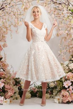 cute V-neck cap sleeves lace blush short wedding gown Tea Length Wedding Dresses Lace, Eye Ideas, Puffy Wedding Dresses, Knee Length Wedding Dress, Blush Wedding Dress, Wedding Dresses Blush, Tea Length Wedding, Bridal Elegance, Beautiful Tea