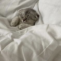 a cat that is laying down with its eyes closed and it's head resting on the pillow