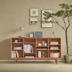 a living room with a tree and bookshelf in the corner next to it