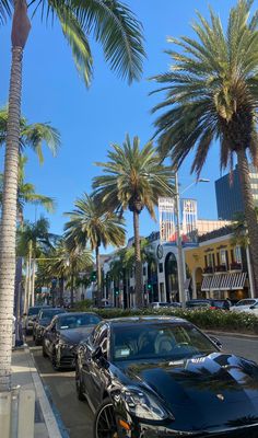 a row of parked cars on the side of a street next to tall palm trees