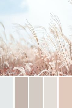 the color palette is neutral and pale with some brown in it's center, along with other colors