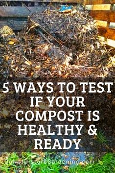 a pile of compost is shown with the words 5 ways to test if your compost is healthy and ready