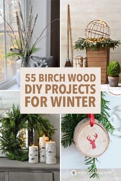 the top 5 birch wood projects for winter