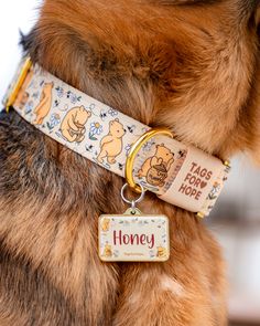 Dog modelling Winnie-The-Pooh pet collar and matching ID tag. Collar has gold hardware and a TagsforHope logo Dog Collar Ideas, Dog Leash Diy, Dog Brands, Cute Dog Accessories, Strong Dogs, Hands Free Leash, Fast Shop