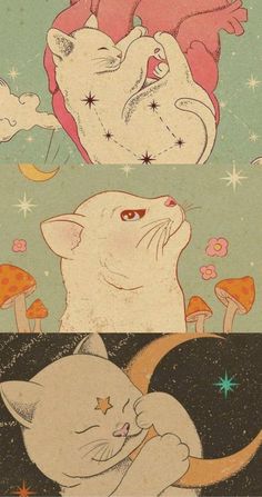 two cats laying on top of each other in front of a sky with stars and mushrooms